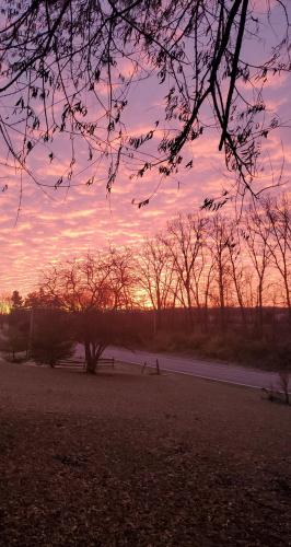 07:34:31 GMT-0500 (EST)