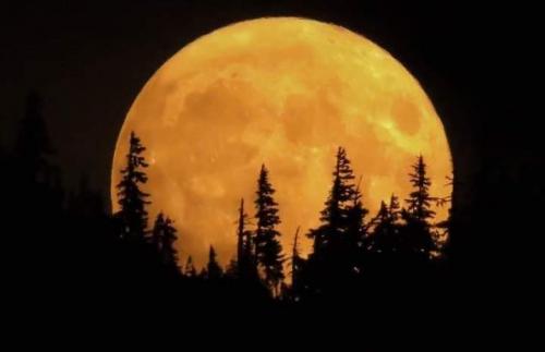 18:46:58 GMT-0800 (PST)