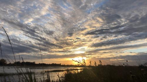 11:59:55 GMT-0600 (CST).image