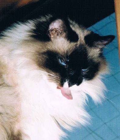 14666217_10210399641134939_1578442894314937454_n