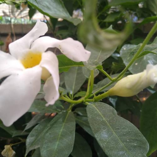 18:58:24 GMT-0700 (MST)