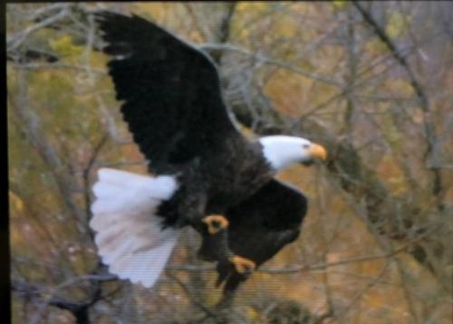 08:33:19 GMT-0500 (EST)