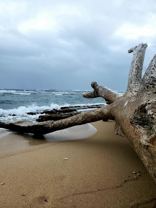 15:04:36 GMT-0800 (PST)