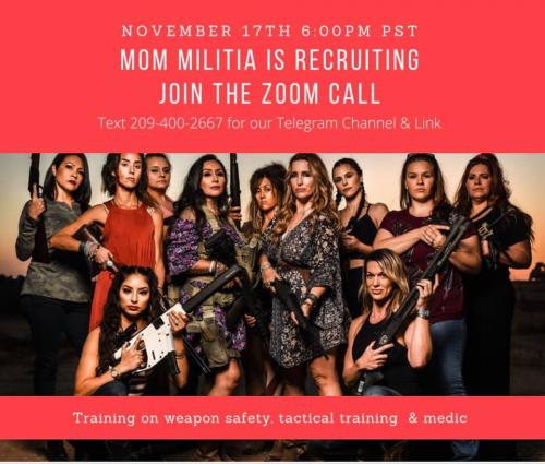 Mom Militia