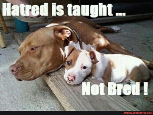 03:09:43 GMT-0600 (CST).image