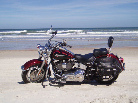 486406_454770951221504_2012522347_n