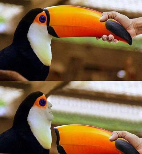 16:31:16 GMT-0600 (CST)