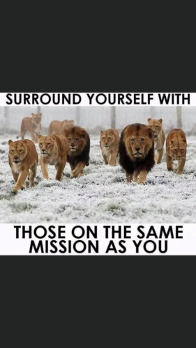 FCE783FB-CD48-482E-8E67-0B138233F9A9