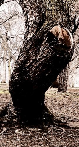 13:03:06 GMT-0600 (CST)