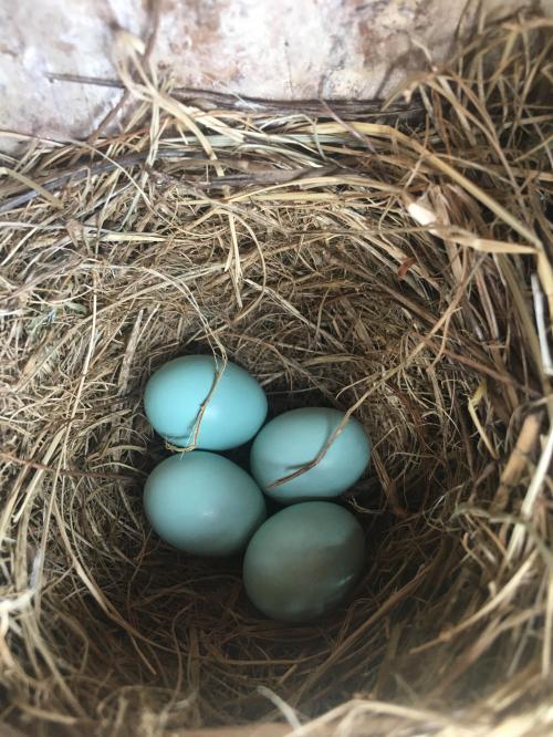 10:27:47 GMT-0500 (EST).image