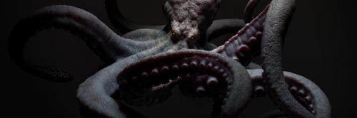 12:43:50 GMT-0500 (EST)