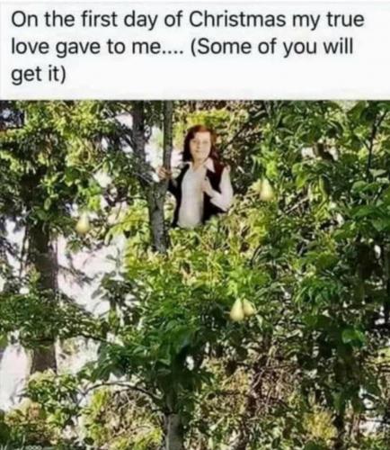 Screenshot_20201129-224745_Facebook