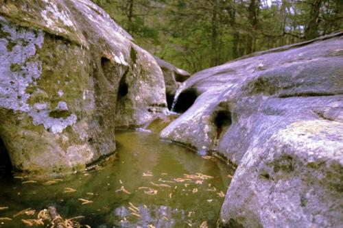 09:58:05 GMT-0600 (CST)