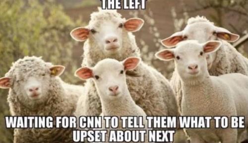 13:38:18 GMT+0000 (GMT).image