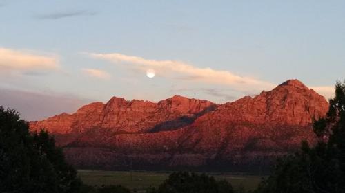 inbound2269095948314777680