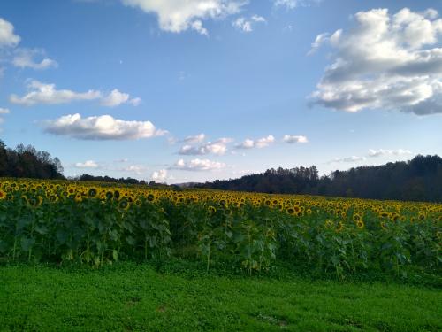 09:00:50 GMT-0500 (EST)