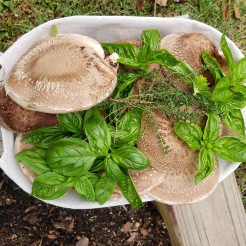 22:49:22 GMT-0600 (CST)