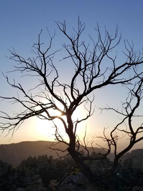 20:52:43 GMT-0700 (MST)