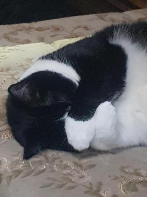 10:43:41 GMT+0000 (GMT)