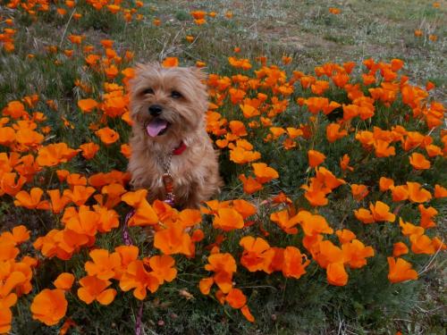 16:40:42 GMT-0800 (PST)