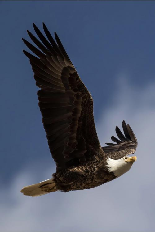 EBF3DAB4-53CF-437A-BEB7-763E6B08A16D