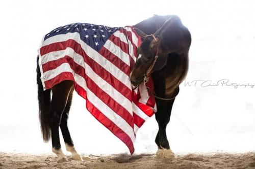 17:39:40 GMT-0800 (PST).image