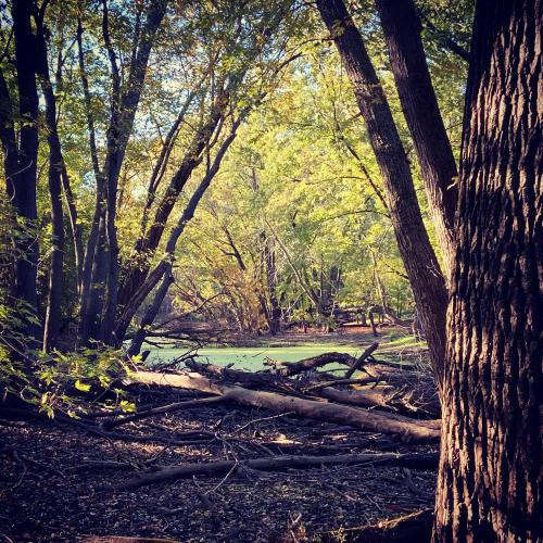 22:22:03 GMT-0600 (CST).image