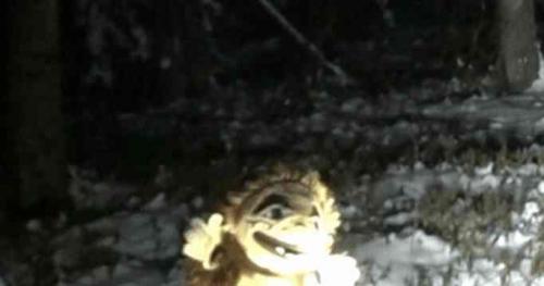 If you go out in the woods today.