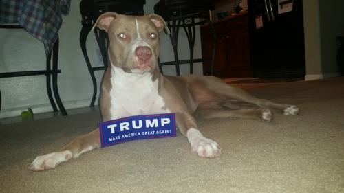 09:55:20 GMT-0700 (MST)