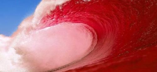 12:00:29 GMT-0500 (EST).image