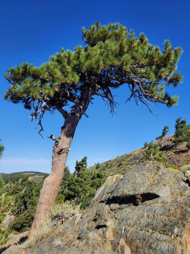 15:21:27 GMT-0800 (PST)