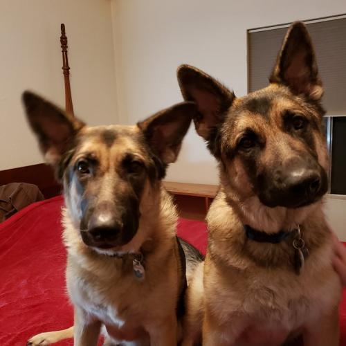 07:00:17 GMT-0700 (MST)