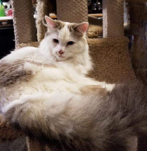 09:10:03 GMT-0500 (EST)