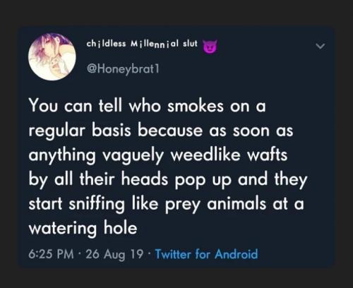 06:20:45 GMT-0600 (CST)