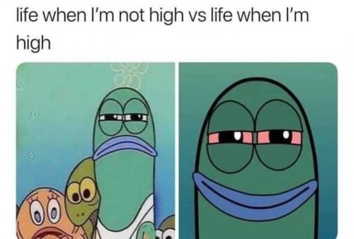 11:54:30 GMT-0500 (EST).image