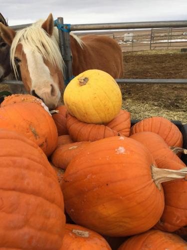 07:49:16 GMT-0800 (PST).image