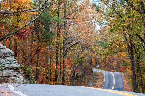 285223E6-4B9B-4BD4-803F-116637DFBF0F