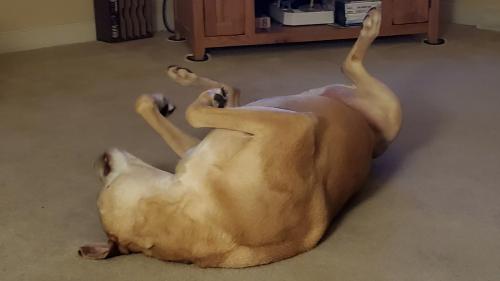 18:39:24 GMT-0500 (EST)