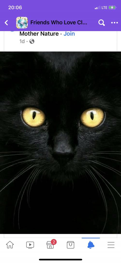 20:15:49 GMT-0500 (EST).image