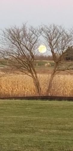 23:14:30 GMT-0600 (CST)