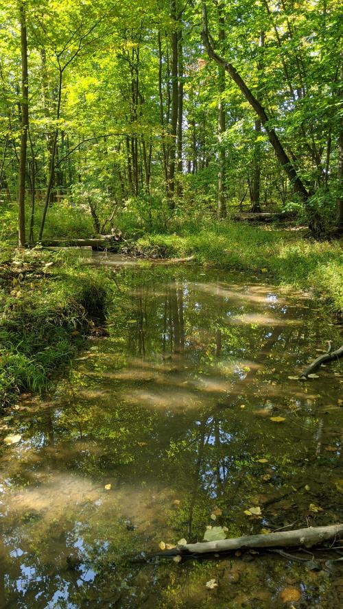 23:58:08 GMT-0500 (EST)