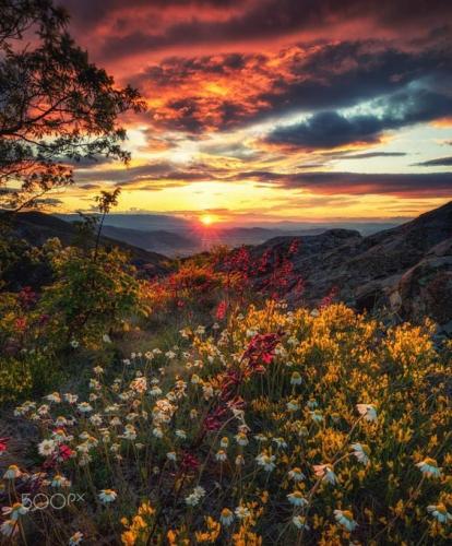 125091435_3786365304731617_1558092533575512879_n