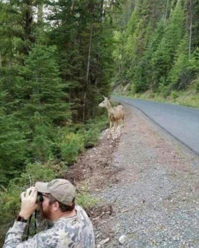 Screenshot_2019-11-15-05-41-52-1