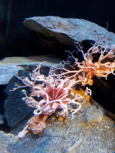 15:38:28 GMT-0800 (PST)