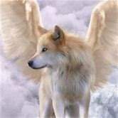 22:33:07 GMT-0600 (CST)