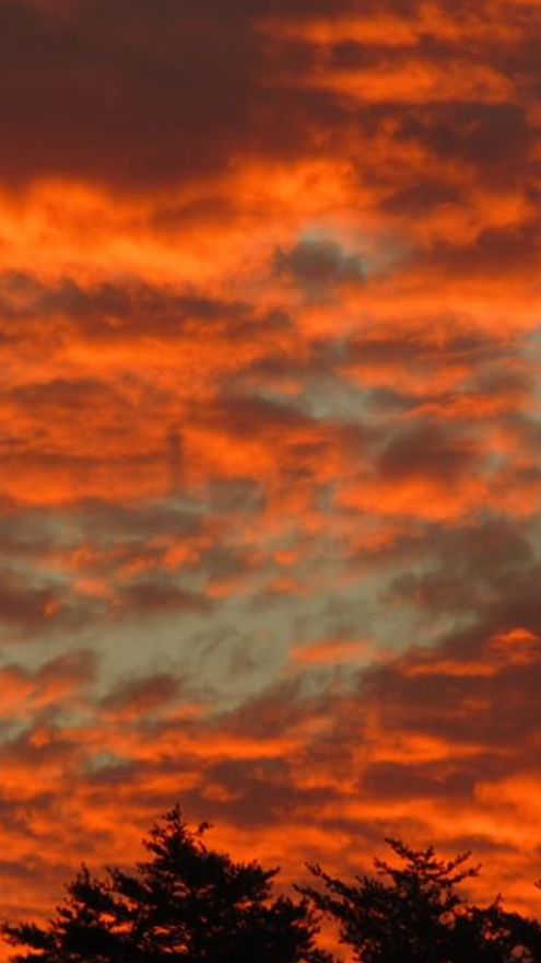 09:46:47 GMT-0500 (EST).image