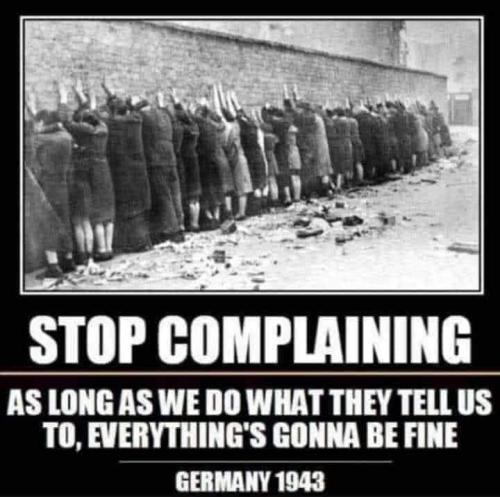 121679841_392452975469457_4542180067871653005_n