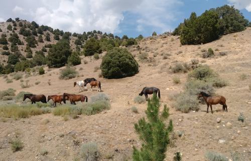 00:15:08 GMT-0800 (PST)