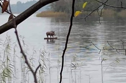 124165289_10164213781835153_4373778602953755242_o - Copy (2)