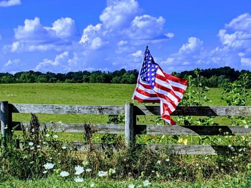 17:49:49 GMT-0600 (CST).image